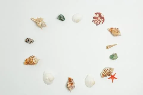 Round frame of sea shells flat lay isolated on white background with copyspace Stock Photos