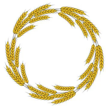A round frame of spikelets of wheat, oats, rye, or barley. Grain plant bord.. Stock Illustration