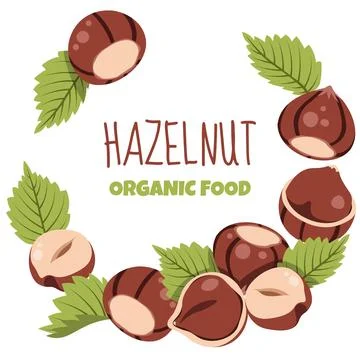 Round Frame Template with Hazelnuts and Green Leaves in Flat Style. Ideal for Stock Illustration