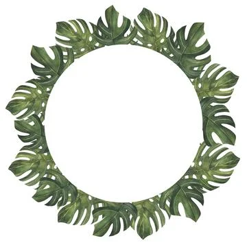 Round frame template with tropical monstera palm leaves. Tropic leaf wreath Stock Illustration
