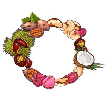 Round frame of walnut, coconut, cashew, kola, pine, Brazil nuts Stock Illustration