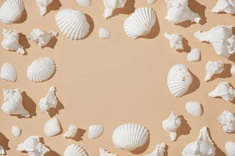 Round frame of white seashells on beige background with hard shadows. Space f Stock Photos