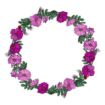 Round Frame with Wild Roses. Summer Flowers Greeting Card or Wedding Backgrou Stock Illustration