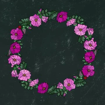 Round Frame with Wild Roses. Summer Flowers Greeting Card or Wedding Backgrou Stock Illustration