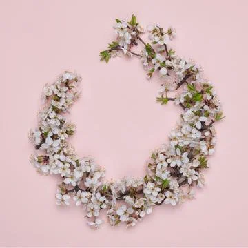 Round frame wreath made of spring flowers on pink background. Top view. The c Stock Photos