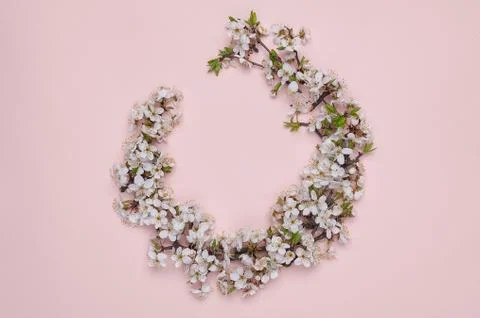 Round frame wreath made of spring flowers on pink background. Top view. The c Stock Photos