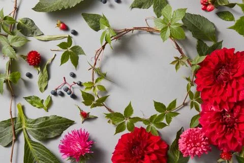 Round frame wreath pattern with flower buds Stock Photos