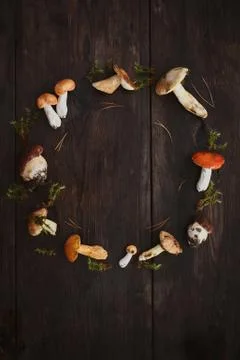 Round frames from assorted raw forest mushrooms on a dark background. 写真素材