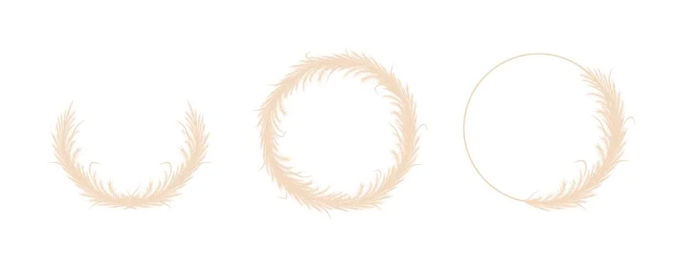 Round frames with dry pampas grass. Wreath of beige cortaderia in boho style Stock Illustration