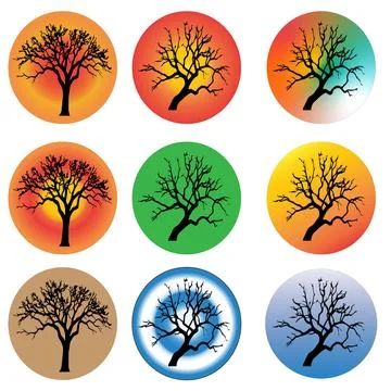 Round Frames with Four Seasons Trees and Colorful Tree Silhouettes in Circles Stock Illustration