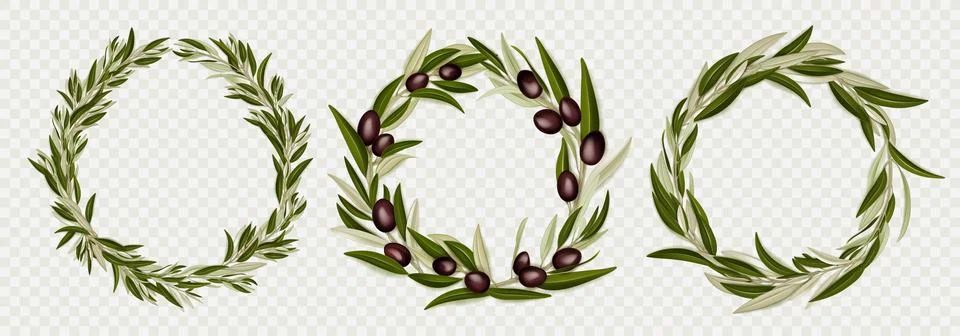 Round frames realistic olive branches with berries Stock Illustration