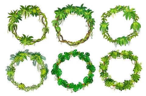 Round frames with tropical jungle forest vines 스톡 일러스트