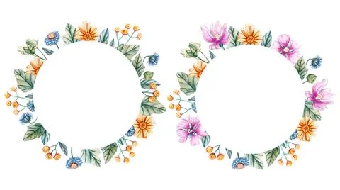 Round frames with watercolor wildflowers. Stock Illustration