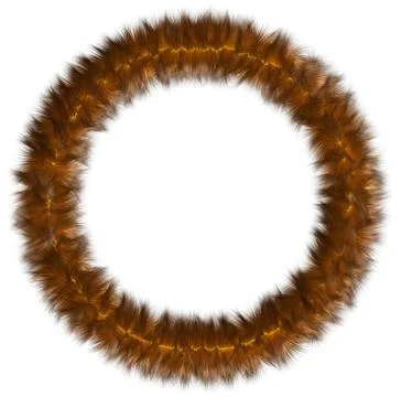 Round framework from fur. Stock Illustration