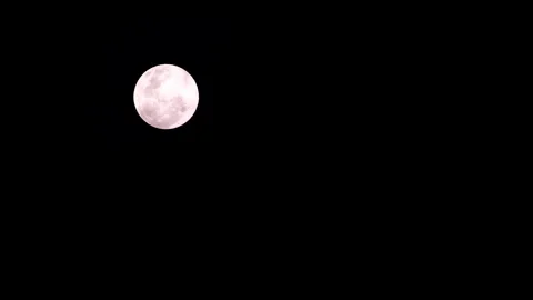 Round full moon in dark night sky 스톡 동영상 319475554