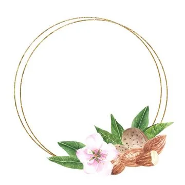 Round golden frame of nuts and leaves almonds. Isolated on a white background Stock Illustration