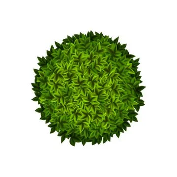 Round green bush Stock-Illustration
