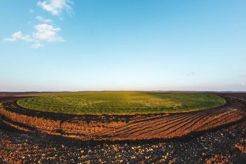 Round green field. A small plot of fertile land Stock Photos