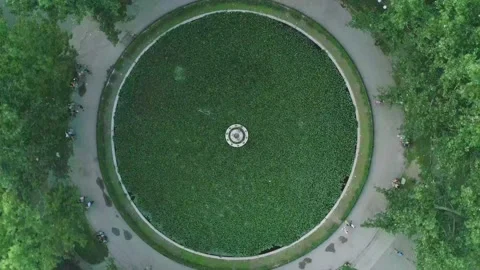 Round green pool in the park Stock Footage 137696955