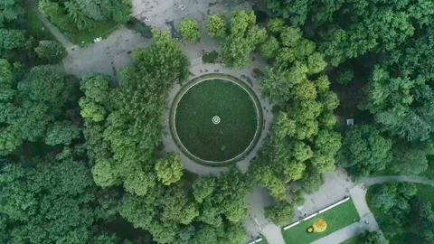 Round green pool in the park Stock Footage 137698085