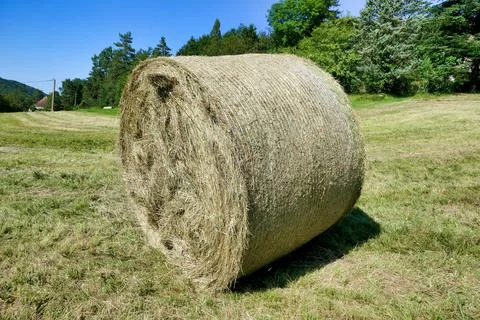 Round Hay Bale Stock Photos
