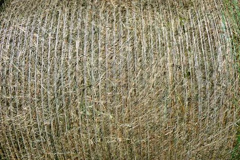 Round Hay Bale Stock Photos