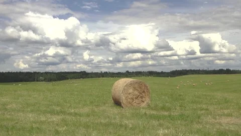 A round hay bale resting in a green countryside field beneath dramatic clouds Stock Footage 340138257