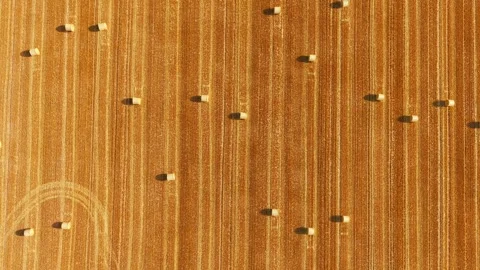 Round hay bales aerial pattern across harvested cereal field. Minimal Stock Footage 347787856