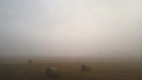 Round Hay Bales On The Field In Extremely Foggy Summer Morning Video stock 238674005