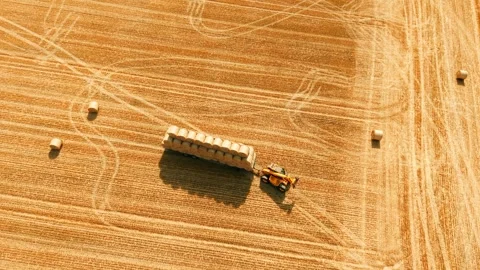 Round hay bales transporting across harvested field with tractor and trailer Stock Footage 340553795