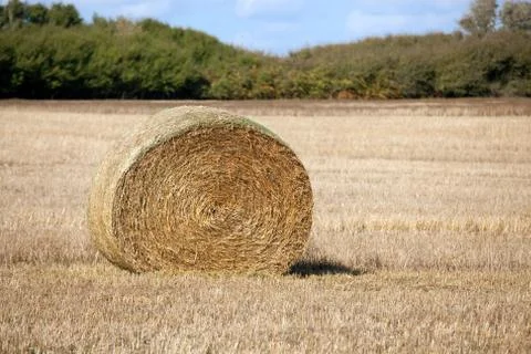 Round hay stack Stockfoto's