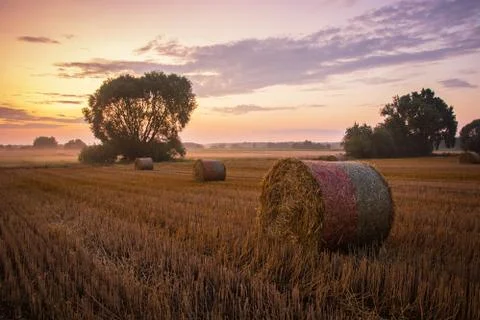 Round haystack in the field, sky after sunset 库存照片