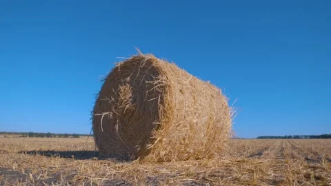 Round Haystack. General Plan And Close-Up Stock Footage 98747774