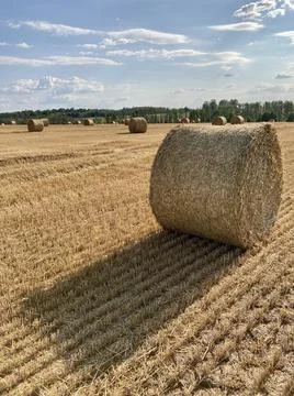 Round haystack in a sunny field Stock-Fotos
