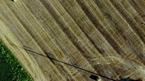 Round haystacks Stock Footage 202282163