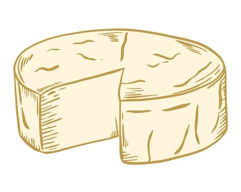 Round head of hard cheese, vector. Dairy product. Hand drawing. Ilustración de archivo