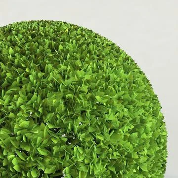 Round Hedge V1 3D-Modell