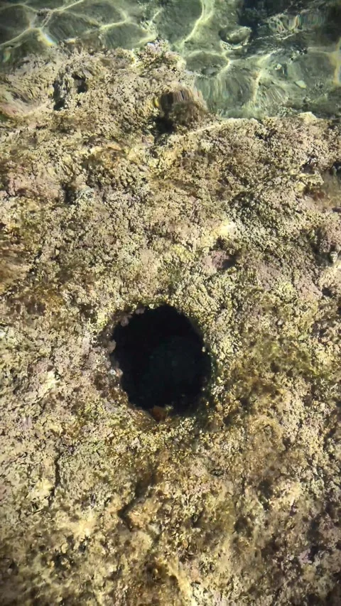 Round Hole in Shallow Seabed Through Clear Water 4K 60fps Stock-Footage 329623034