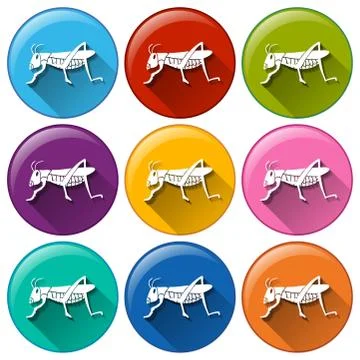 Round icons with insects Stock Illustration