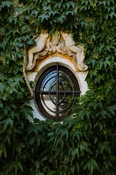 Round iron-barred window framed by ivy-covered ornate architecture Stock Photos