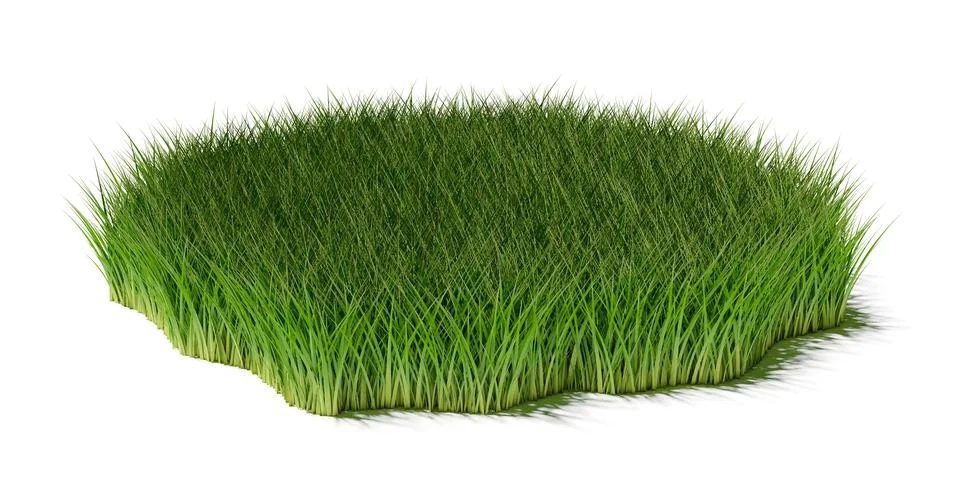 Round irregular circle patch or island of uncut long green grass isolated on  Ilustración de archivo