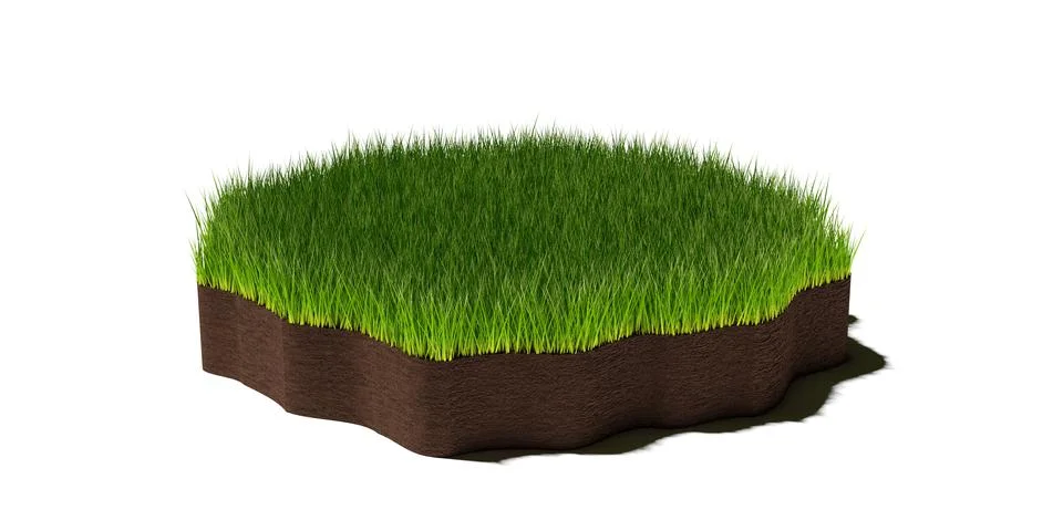 Round irregular random shaped circle patch or island of short cut green grass Ilustración de archivo