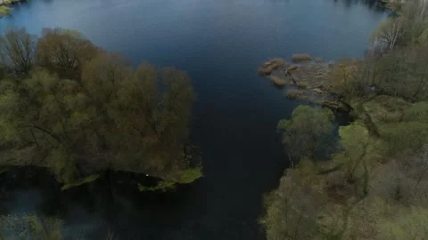 Round lake surrounded by trees Stock Footage 265757493