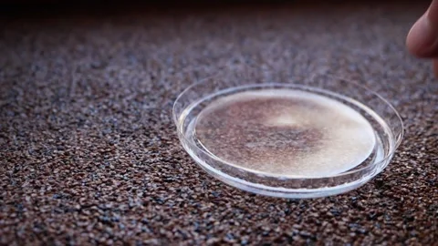 Round lid made of transparent plastic falls on stone table. Packaging recycling Stock Footage 238819019