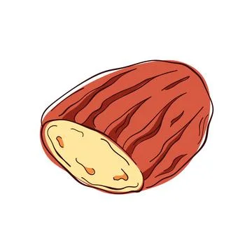 Round loaf of bread, featuring a rustic, artisanal appearance with distinct Stock Illustration