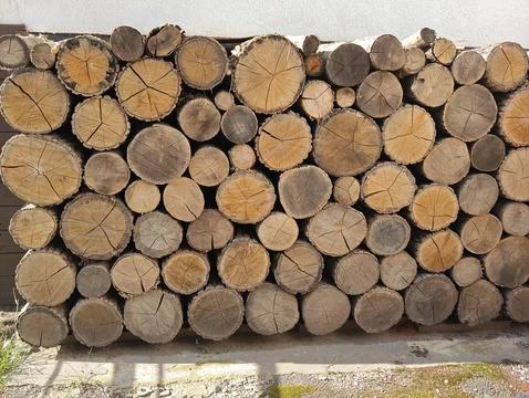 Round logs are lying Stock Photos