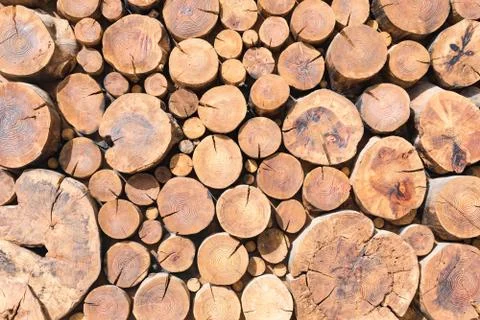 Round logs stacked stack of wood background Foto stock