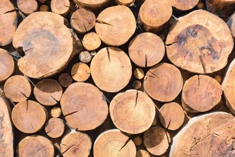 Round logs stacked stack of wood background Fotos Stock