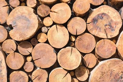 Round logs stacked stack of wood background Round logs stacked stack of wo... Stock-Fotos