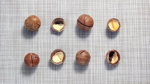 Round macadamia nuts in the shell and an empty shell close-up. Stock-Fotos